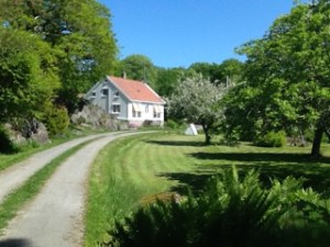 mms_20160605_071519-kopi